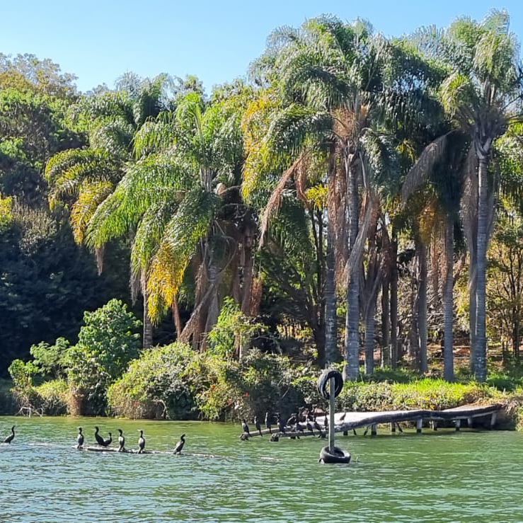 WhatsApp Image 2025-09-02 at 15.36.32 (3)